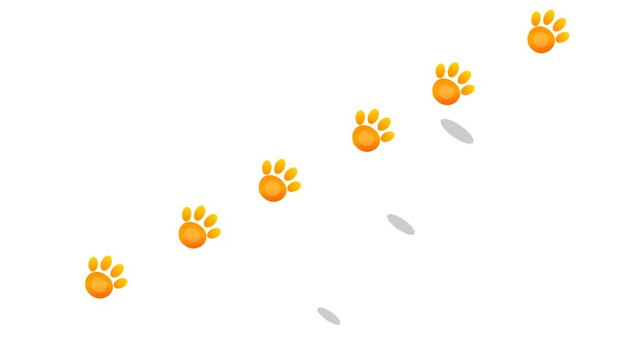 Animal paw prints and human footprints walking on white background