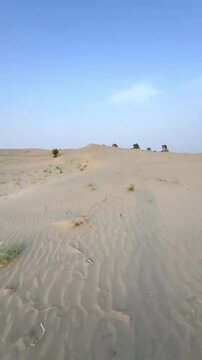 Scenic view of vast desert sand dunes with sparse vegetation