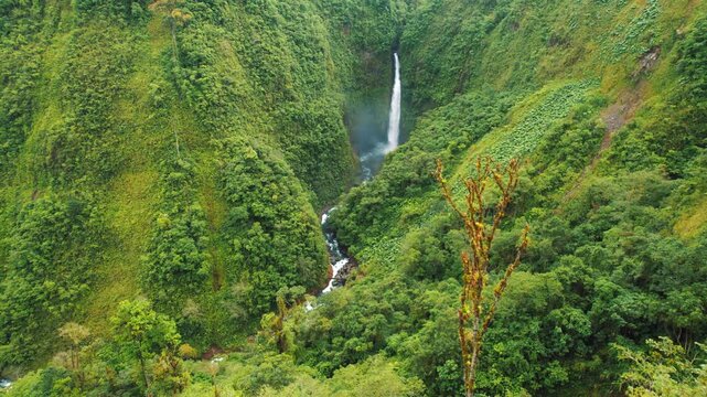 Lush green valley with a tall waterfall cascading into a river in Costa Rica
