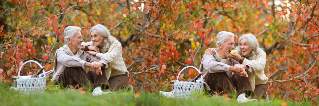 Happy Senior Couple Picnic in Autumn Garden with Apples