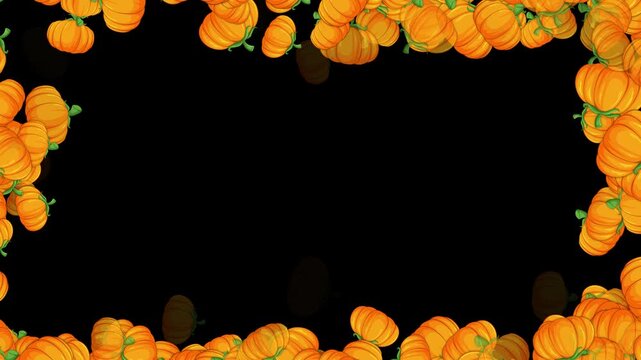 autumn pumpkins border frame isolated alpha channel 4k animation,pumpkin thanksgiving and Halloween celebration video stream overlay social media motion design element