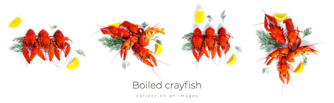 Boiled crayfish with dill and lemon on black plate isolated on a white background. High quality photo