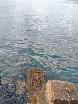 Tepi laut