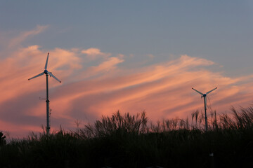 wind turbines at pink sunset © 지혜 김