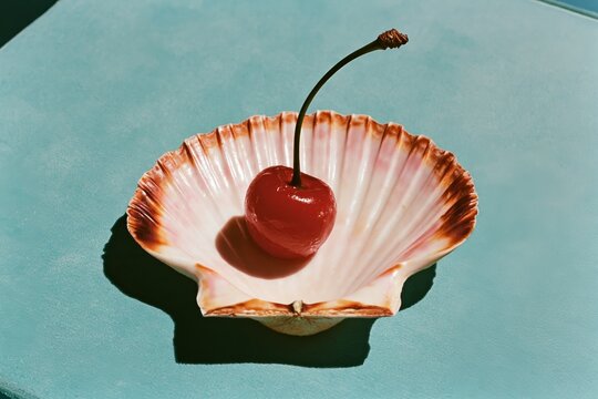 Close-up of glossy red cherry in a seashell dish for still life photography