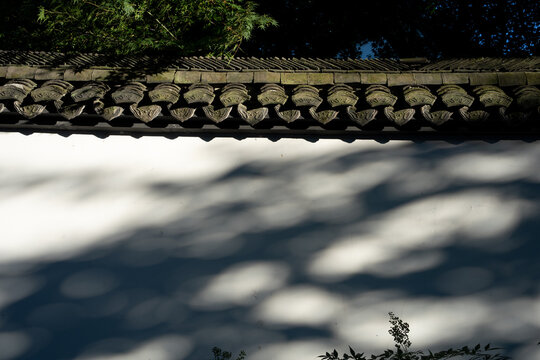Traditional chinese roof tiles and tree shadows on white wall