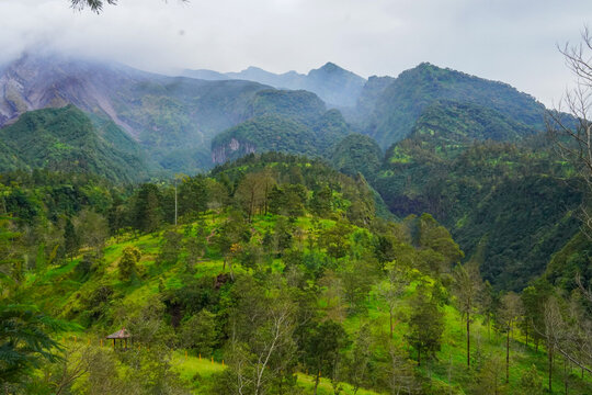 Lush green hills slope gently downhill, a narrow hiking trail winds through the dense vegetation.