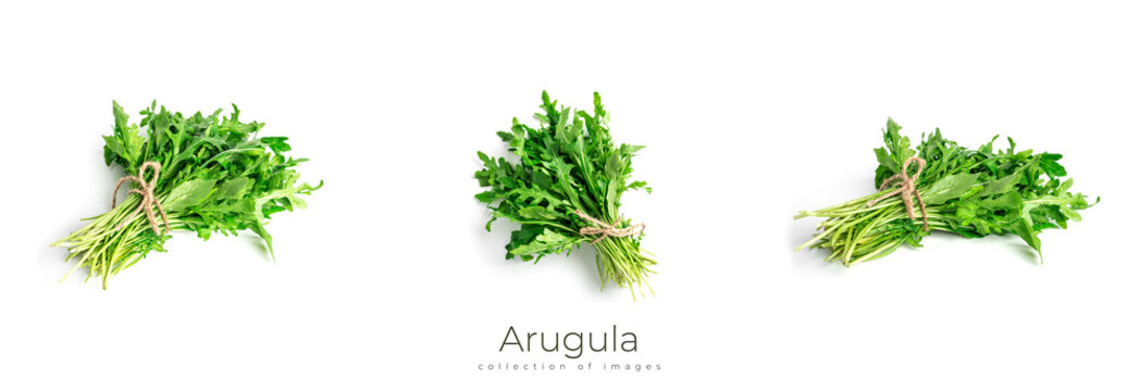 Arugula isolated on white background. A bunch of arugula. High quality photo