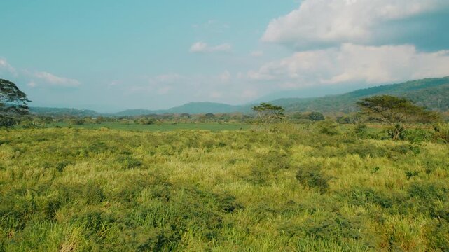 Open grassland and forest edge landscape beneath blue sky in Costa Rica