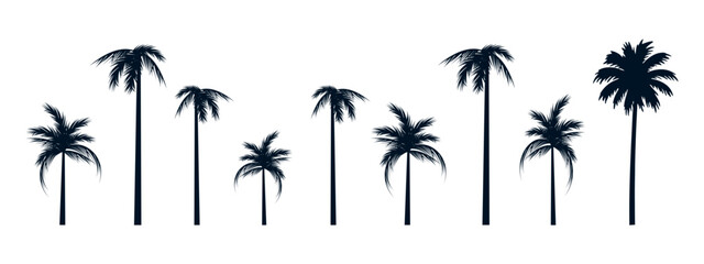 Palm trees set isolated on white background. Palm silhouettes. Design of palm trees for posters, banners and promotional items vector SVG. © VectorStar