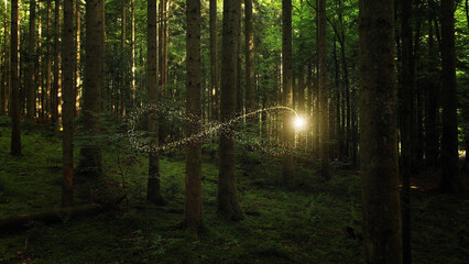 Beautiful green forest with infinity symbol animation. © robsonphoto