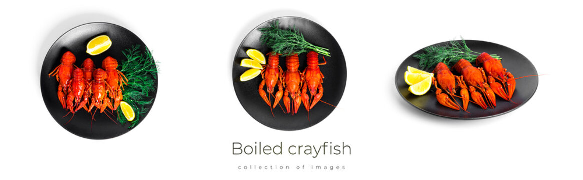 Boiled crayfish with dill and lemon on black plate isolated on a white background. High quality photo
