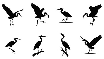 Fototapeta premium Black silhouette set of herons and egrets in various flying and standing poses