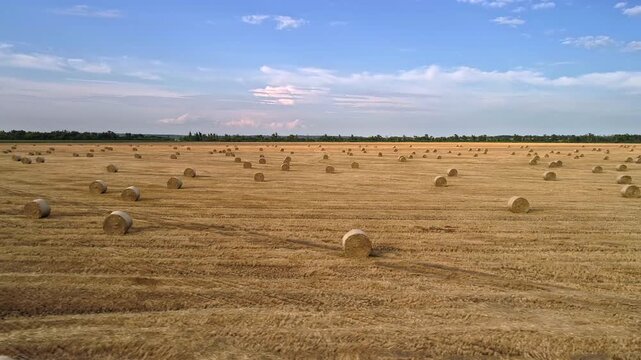 Broad drone view travels across harvested farmland filled with straw bales arranged in lines as golden stubble contrasts with cool blue sky and soft pink clouds near the tranquil summer horizon