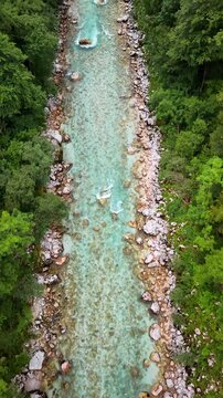 Vertical aerial drone view of the wide stony riverbed with clear turquoise water between the trees, Soca Valley, Slovenia