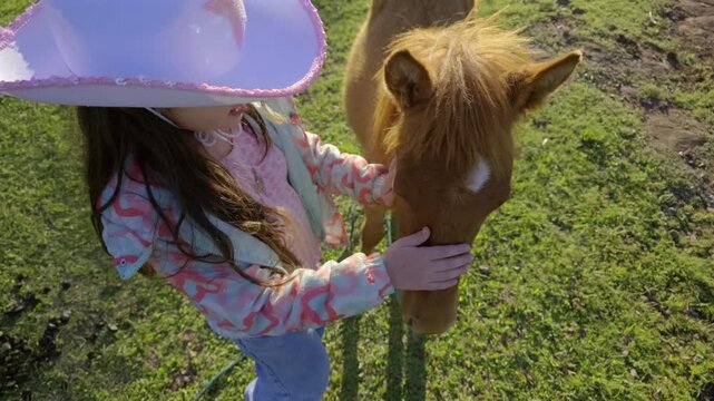Young girl gently caresses a small chestnut horse with a white forehead marking in a grassy pasture, close shot