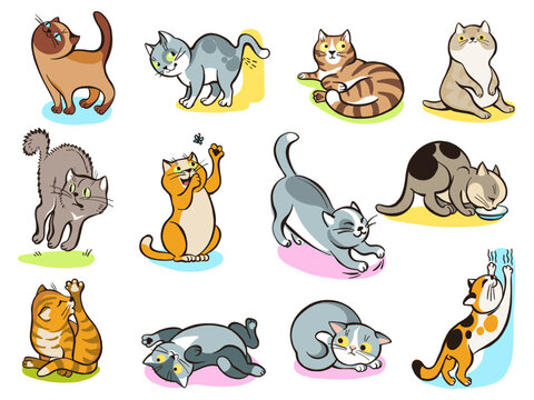 Cat behavior. Adorable pets of all colors and breeds. Animals playing and grooming themselves. Relaxing mammals. Kittens marking their territory and sharpening claws. Vector kitty set