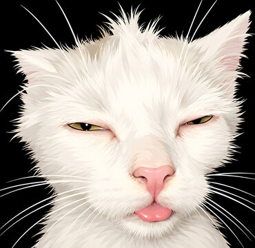 Cat meme vector 