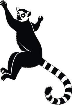 Playful ring-tailed lemur silhouette vector illustration featuring a stylized wild animal with iconic striped tail in bold black and white ink style graphic art design isolated on white background