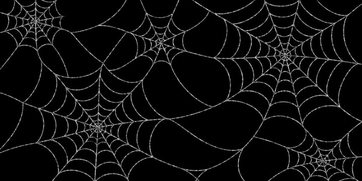 spider web with dew drops spider web on black background.
