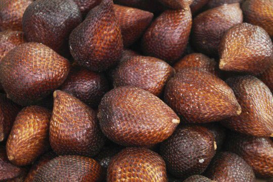 Many gold apple fruits close up, Diospyros decandra