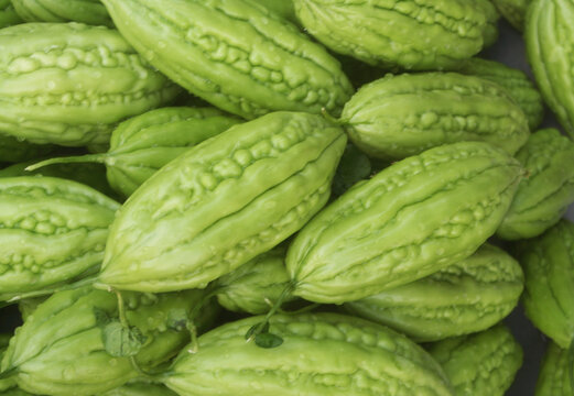 Many bitter gourd or bitter melon vegetables as background	