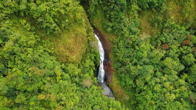 Aerial view of slender waterfall cascading through lush green rainforest cliffs