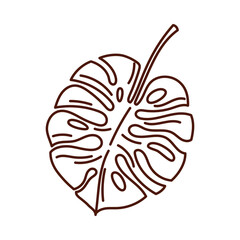 Fototapeta premium Single tropical monstera leaf outline drawing isolated on white background vector illustration
