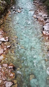 Vertical overhead aerial drone view of the shallow turquoise river running fast over a white stony bed, Soca Valley, Slovenia