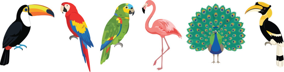 Fototapeta premium A collection of colorful exotic birds including a toucan parrot flamingo and peacock.