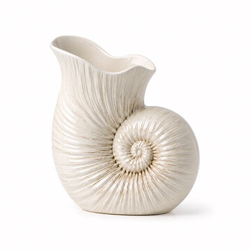 Cream Colored Nautilus Shell Tactile Texture Detail