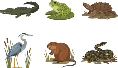 Fototapeta premium A collection of diverse wetland animals including a crocodile frog turtle heron beaver and snake.