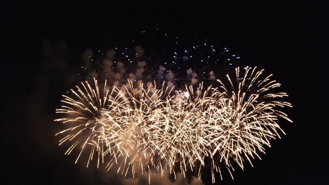 Multi-colored fireworks display exploding against a dark night sky