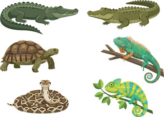 Fototapeta premium A collection of various reptiles including crocodiles a turtle an iguana a snake and a chameleon.