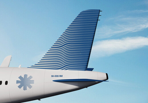 Airplane Identity Mockup