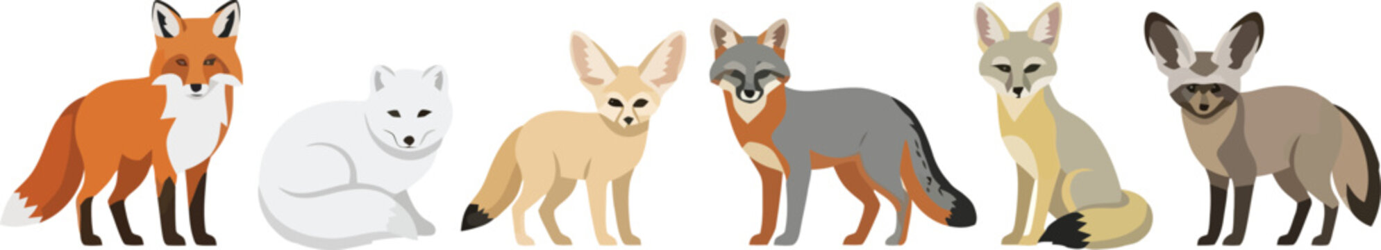 A collection of six different species of foxes illustrated in a flat vector style.