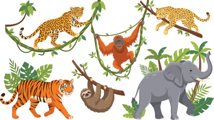 Fototapeta premium A collection of various wild jungle animals including a tiger elephant leopard orangutan and sloth.
