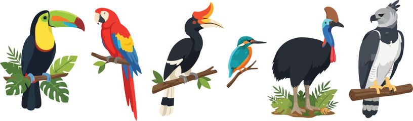 Fototapeta premium A collection of six colorful exotic birds including toucans parrots and eagles.