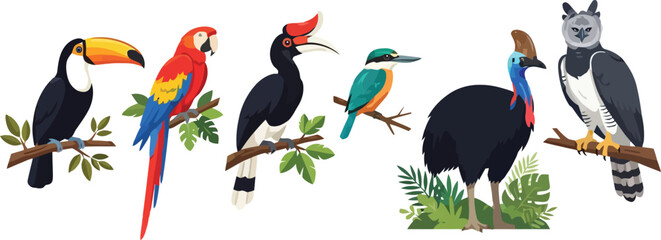 Fototapeta premium A collection of colorful exotic birds including toucans parrots and cassowaries.