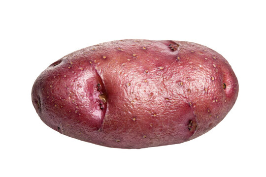 A single raw red potato with smooth skin and small eyes, captured from a side view angle isolated on a transparent background