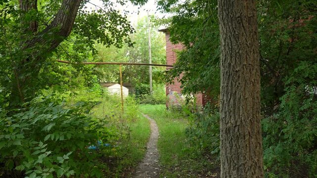 Overgrown green garden path between trees