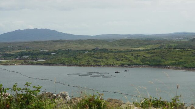 Circular marine fish-farm cages and small workboats sit in a sheltered bay, illustrating aquaculture and seafood production in a rural Irish coastal landscape.