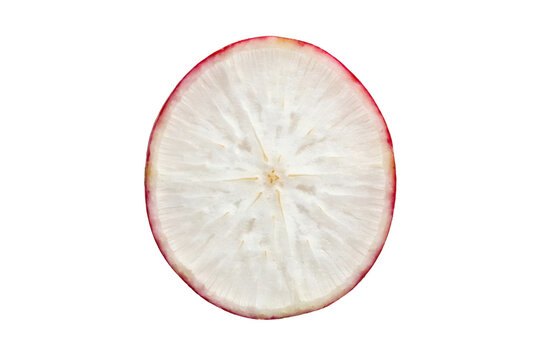A single thin cross section slice of a fresh red radish vegetable isolated on a transparent background