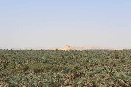 Siwa, Egypt