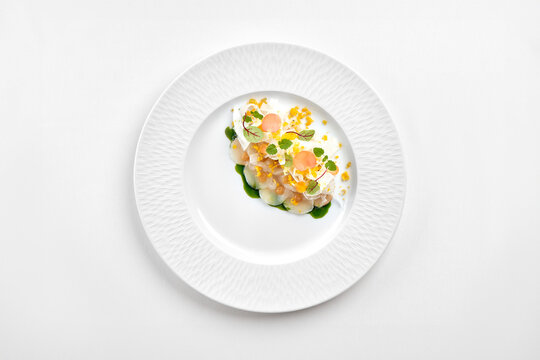 Gourmet scallop carpaccio with green oil, shaved fennel, and microgreens on a white ceramic plate. Top view studio photo.