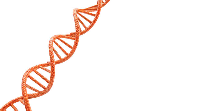 Abstract model of human DNA double helix structure genetic code science symbol