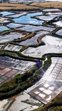 Geometric Salt Marshes and Reflective Water Channels Stretch Across the Landscape in Plage des Oc&eacute;anides, Capbreton, France - Aerial Drone Shot
