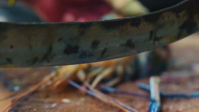 Cutting process of giant freshwater Rosenberg shrimp lat. Macrobrachium rosenbergii at fish market, seafood cutting process slow motion.