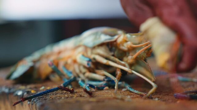 Cutting process of giant freshwater Rosenberg shrimp lat. Macrobrachium rosenbergii at fish market, seafood cutting process slow motion.