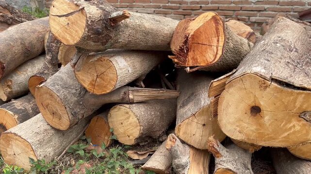 Rough Timber Textures of Chopped Firewood Pile